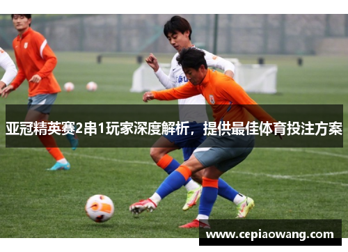 亚冠精英赛2串1玩家深度解析，提供最佳体育投注方案
